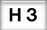 H3